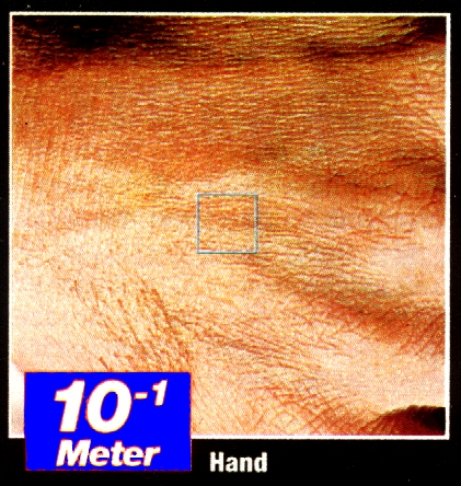 Ansicht eines 10 mal 10 cm grossen Ausschnitts - eine Hand