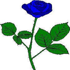 Blaue Blume (Rose) -> mehr zur 'Ewigen Gegenwart'