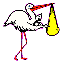 der Storch bringt (k)ein Baby