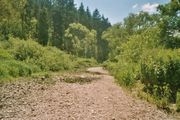 Der trockene Fluss an der Donauversickerung